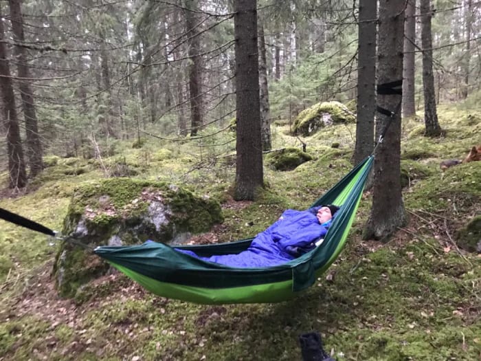 A man in a sleeping bag in the middle of forrest